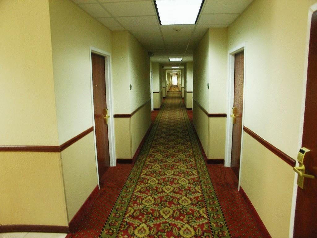 Quality Inn Zephyrhills-Dade City Экстерьер фото